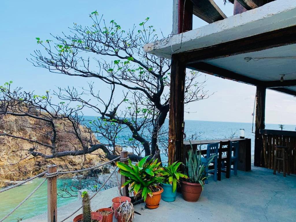Playa Amor - Private Villa & Best Views Zipolite Dış mekan fotoğraf